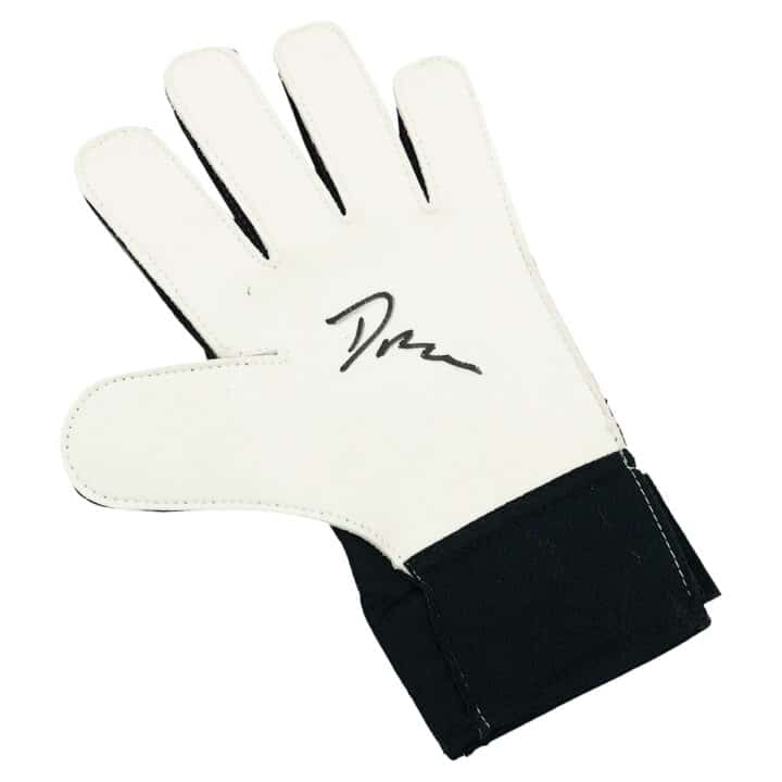 Signed Dean Henderson Goalkeeper Glove - Crystal Palace Icon