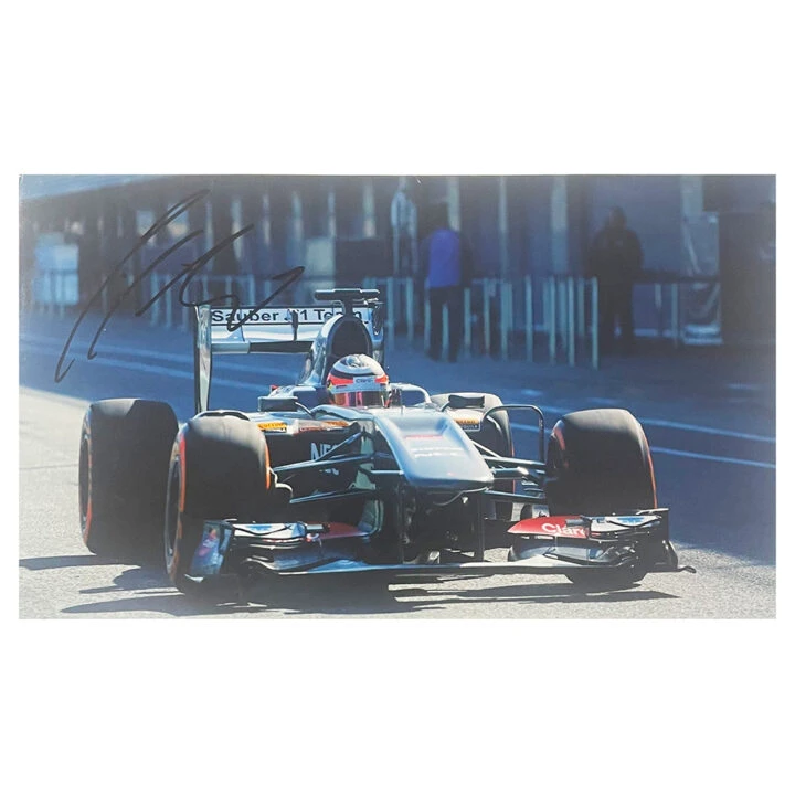 Signed Nick Heidfeld Poster Photo - 18x11 Formula 1 Icon