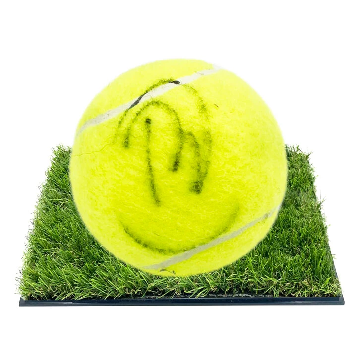 Signed David Ferrer Framed Ball - Tennis Icon