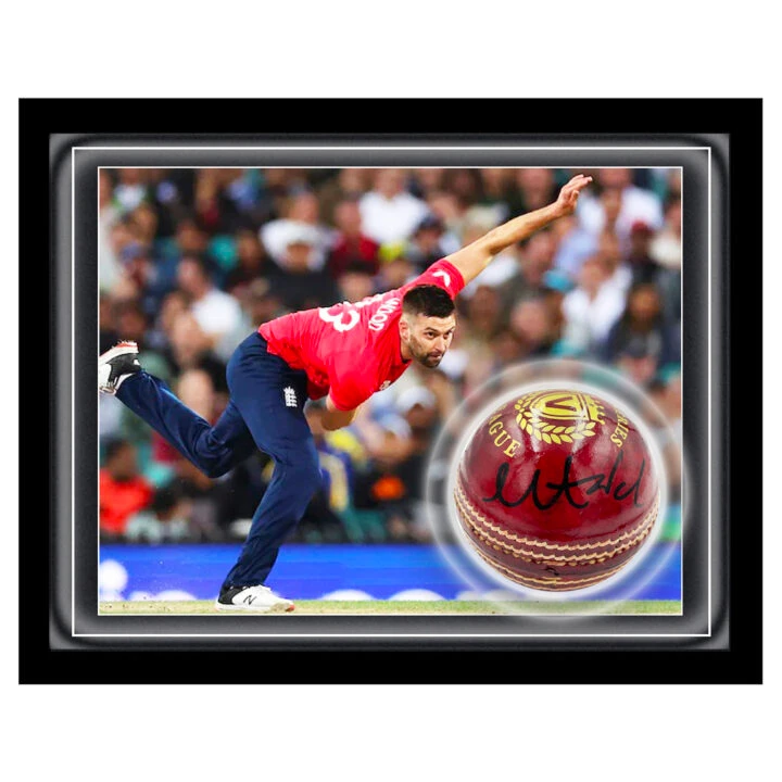 Signed Mark Wood Ball Framed Dome - T20 World Cup Winner 2022