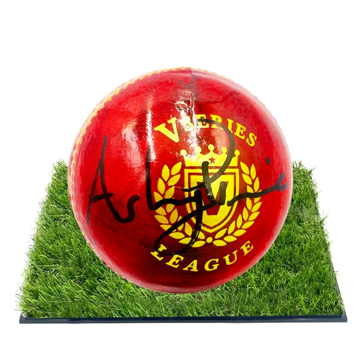 Signed Ashwell Prince Framed Ball - Proteas Cricket Icon